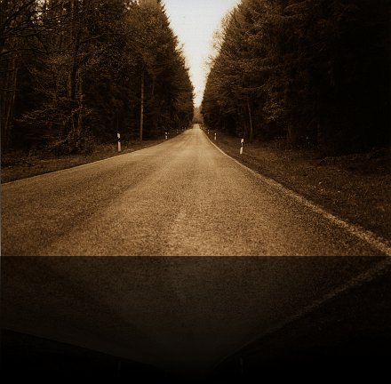 Road in forest 02